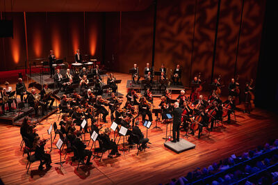 Flevolands Philharmonisch Orkest · De Meerpaal, Dronten · zo 1 nov 2026